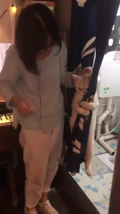 No, I will not shower