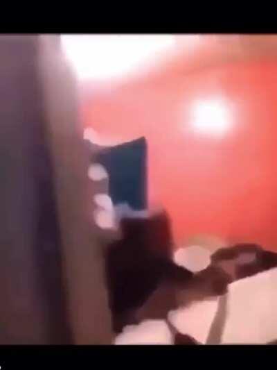 ATTENTION FREE POINTS!!! ULTIMATE BRUCE TRY NOT TO LAUGH COLLECTION( FUNNIEST POSTS CONDENSED INTO 3 MINUTES.