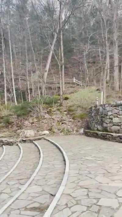 My dad being a dude and playing along