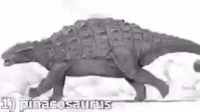 #antitriceratopgang!! 1!1/1❗❗🦖🦖🦖🦕🦕