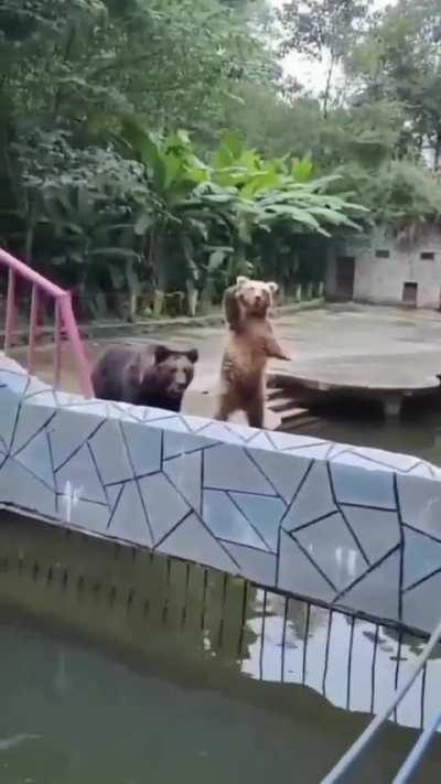 Hey... hey... heyyy... over here