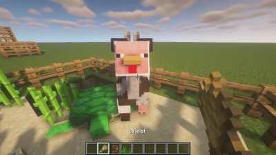 This needs to be a feature in vanilla.