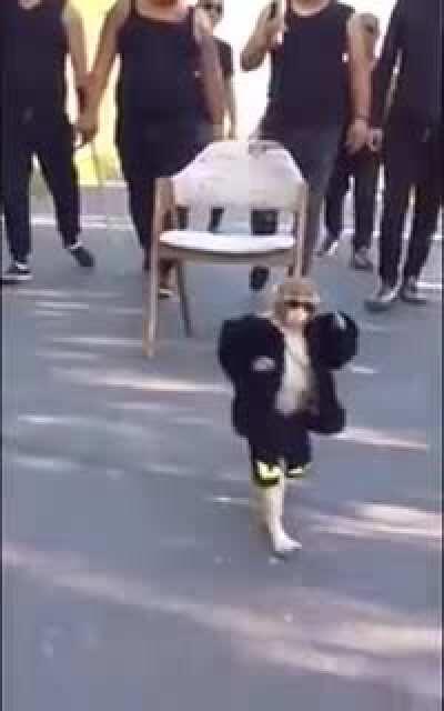 Ben kölelerle gitmek kılsız p*çi dövmeye