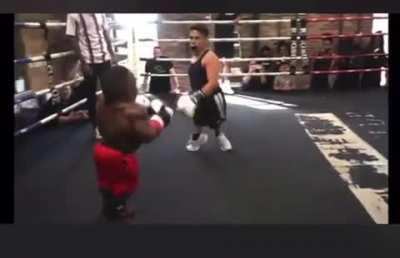 Lil nigga boxing