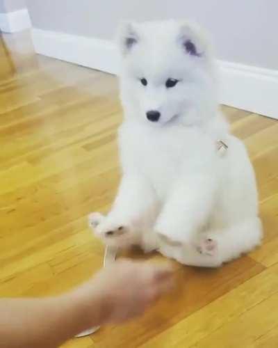 Whoopsie. Nobody Saw That Right?