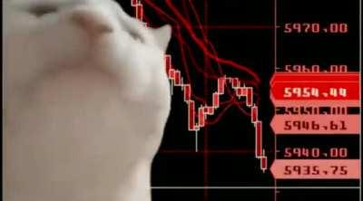 Slappin the ask, thanks for the discount!