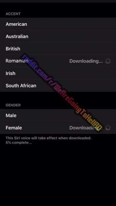 Memoriam Vadim II - Siri