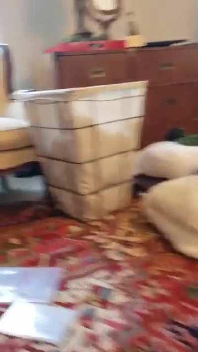 Someone told me we do 50bmg 🅱️oints here