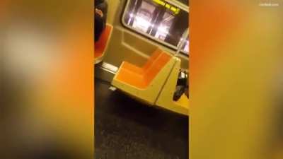 Rat on the train in New York causes chaos!