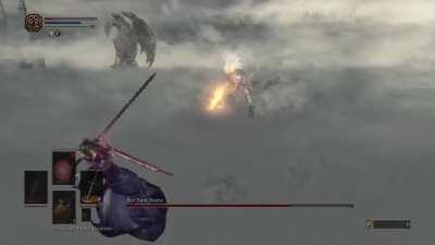 [NG+7] SL1 Nameless King - No roll/block/parry [Flawless] (: