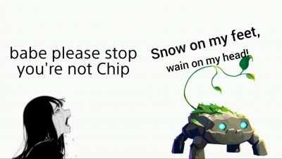 Chip