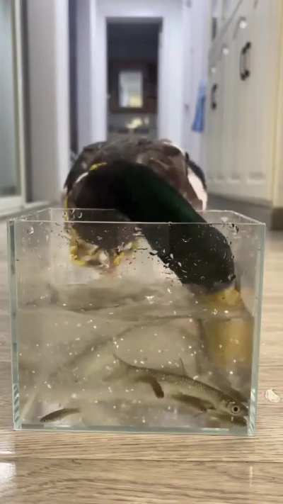 You know what that means!