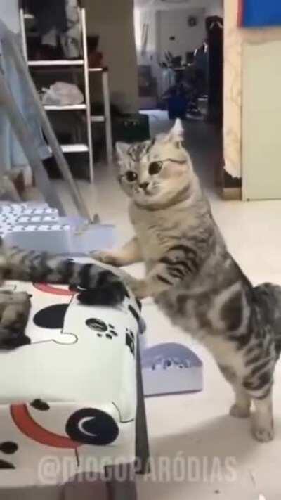 Não sei se isso se encaixa em meme mas eu tô passando mal kkkk peguei no twitter