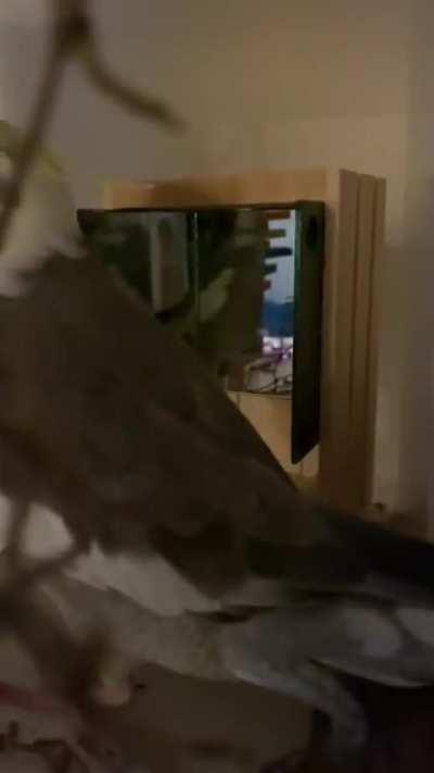 I made my Plumpus a little audition hall