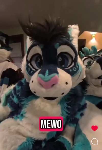 Wunkus impersonator attempts to be silly; arrested for fraud 😔