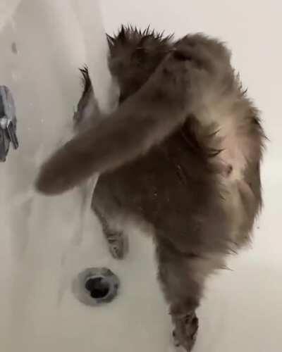 Bath time!