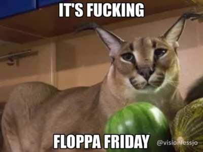 Floppa Friday boyyys
