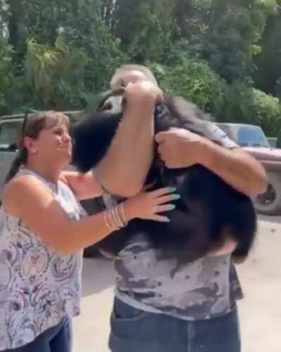 This chimp was born with broken ribs, had pneumonia and was abandoned by his own mother. This couple raised him and showed him love. This is how he reacts whenever he sees them now!