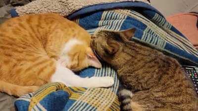 Here brother, let me help you with those crumbs behind you ear...