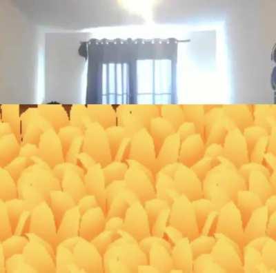 POV: You didn't check a bush