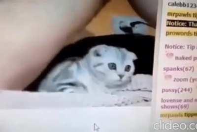 ¿Es confuso verdad?