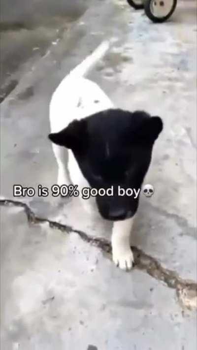 bukopek sadece %90 iyicocuk olmakzorundakaldi