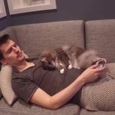 It hurts that he hasn't pet the cat