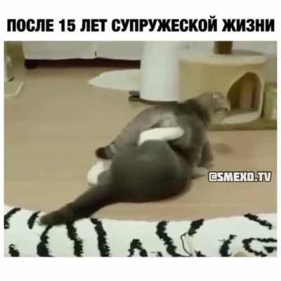 Как то так