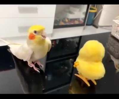 don't run out of batteries