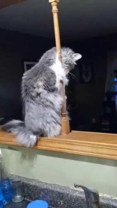 To pay tUitIoN she HAD To SeLL HER boDY. beCoMES SERIaL kILleR's pRIMaRY tARgeT!