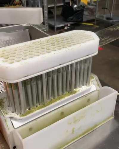Making pre rolls at the weed factory