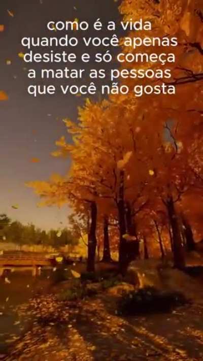 ILHADOKONG - Video #3848