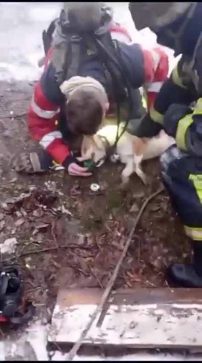 After a fire was extinguished, rescuers from the Kharkiv region saved Lada the dog