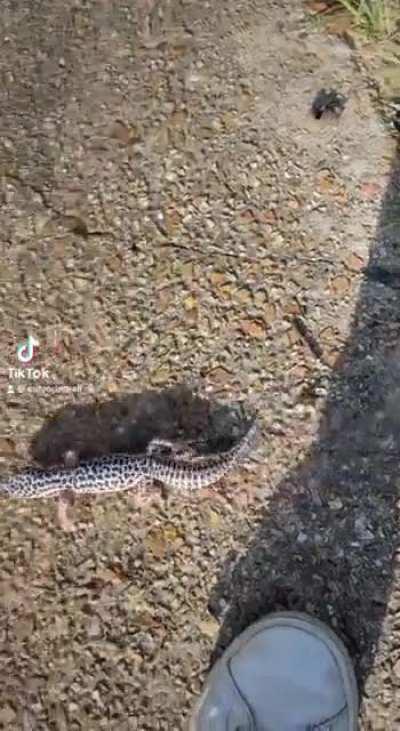 Couldn’t help but add this audio