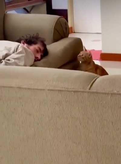 Not A Fan Of Sleepovers