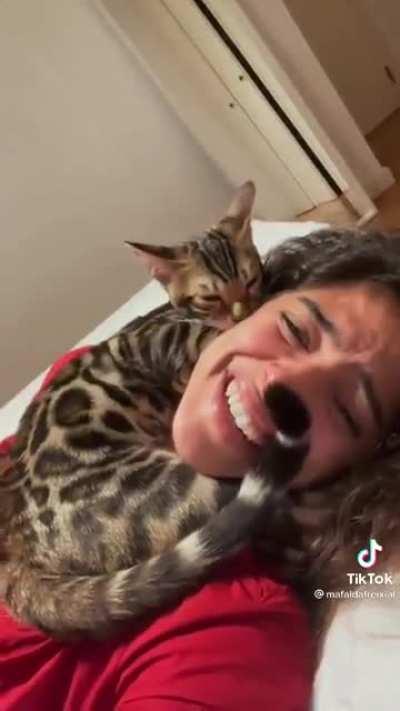 Wallah alatheeeem I’m sobbing