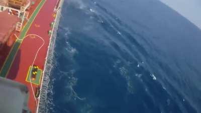 I’m gonna go with dead on this one.