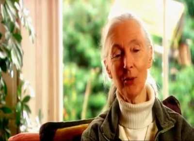 Park ranger Roberto Bubas befriends wild orcas in Argentina. Jane Goodall offers insight into their relationship.