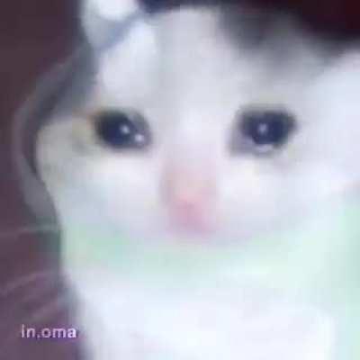 When Phil retires. I know we all will be like this.