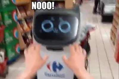 Not the gay cat robot!