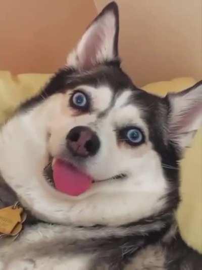 Lost connection with satellite!