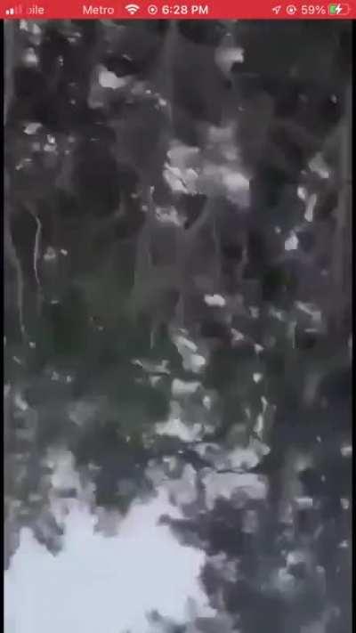 Ukrainian soldiers mistake Russian Tank for friendly, 15 Ukrainians instantly killed or vaporized. (No Gore)