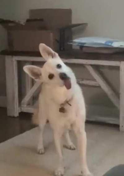 I.... I don't know what to do about the tongue.