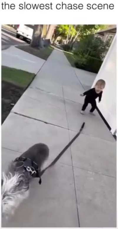 My chance to escape has come