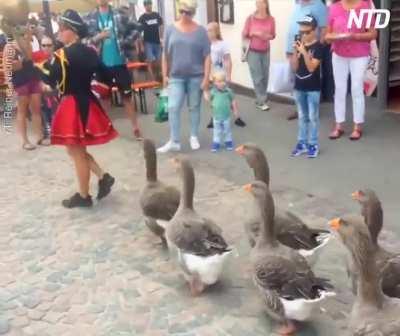 Yo our government even invaded Germany. We aren’t safe anymore