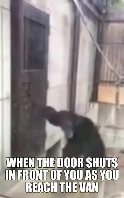 My struggles in Phasmophobia inspired me to make this