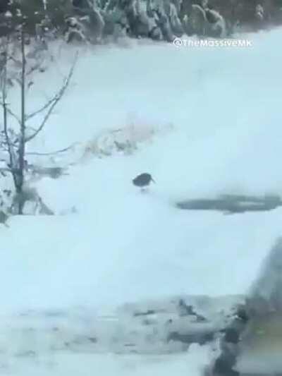 Stole this from r/196