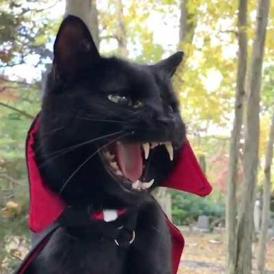 Sign the User Agreement with Fresh Blood