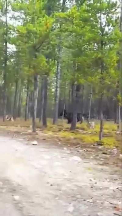 His soul left his body.