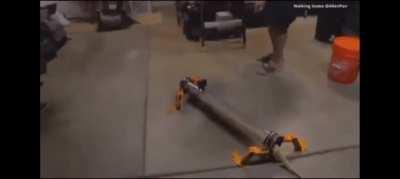 Belasarius gets a pet snake: